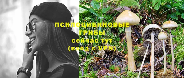 ешки Абдулино