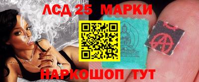 шишки Обнинск