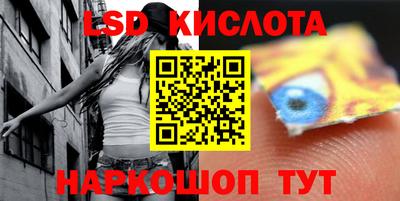 шишки Обнинск