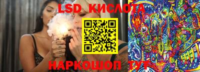 шишки Обнинск
