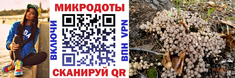 Псилоцибиновые грибы Psilocybe Хасавюрт