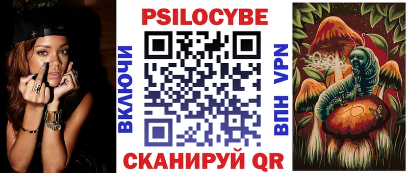 Псилоцибиновые грибы Psilocybe  где купить наркоту  кракен как войти  Хасавюрт 