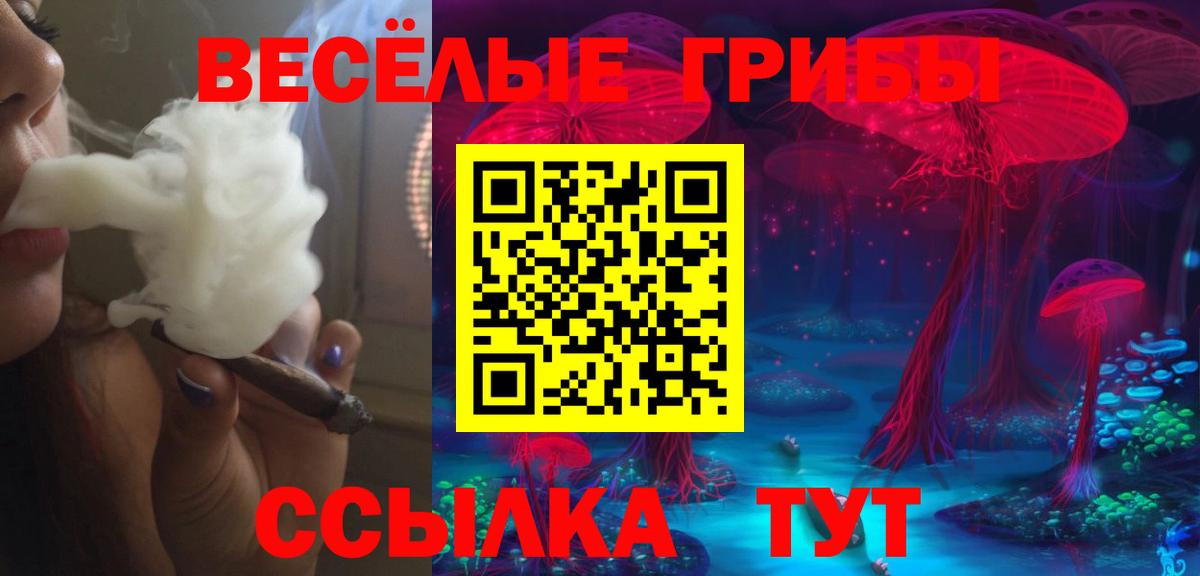 Галлюциногенные грибы Psilocybe  продажа наркотиков  Хасавюрт  Вход с VPN 